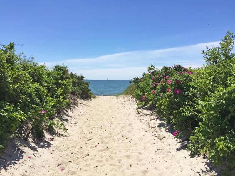 Dartmouth Week - Dartmouth, MA news - Round Hill beach